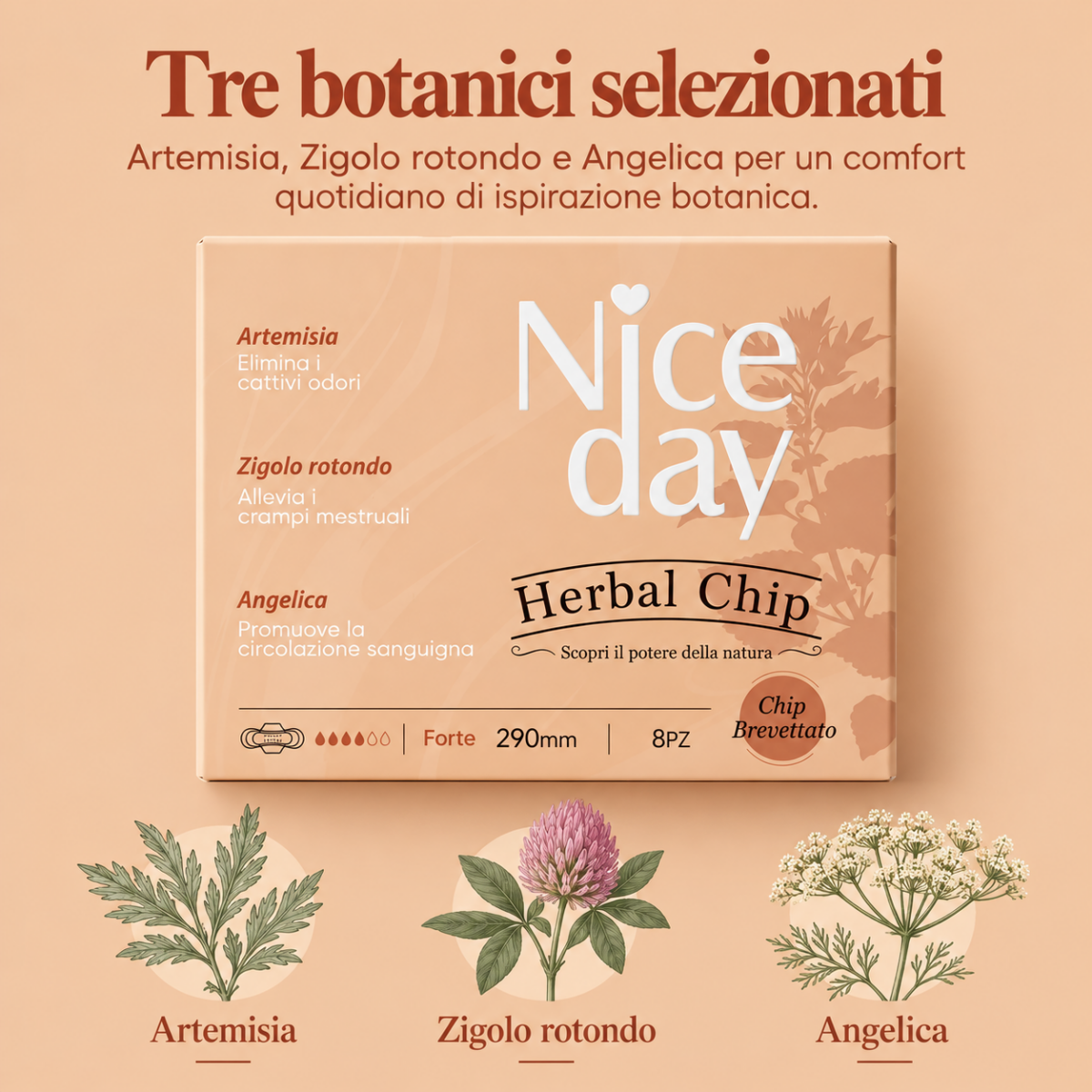 herbal 290 04 Assorbenti Forte Herbal Chip 290 mm – Multipack 40 pz